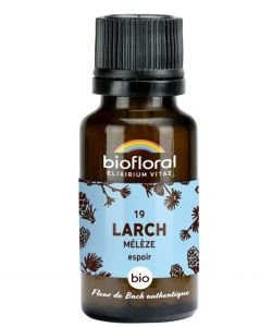 Larch (No. 19), granules without alcohol